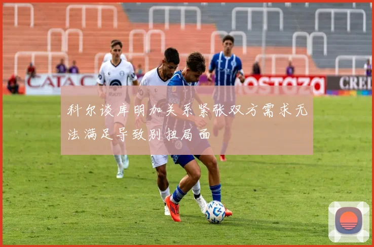 科尔谈库明加关系紧张双方需求无法满足导致别扭局面